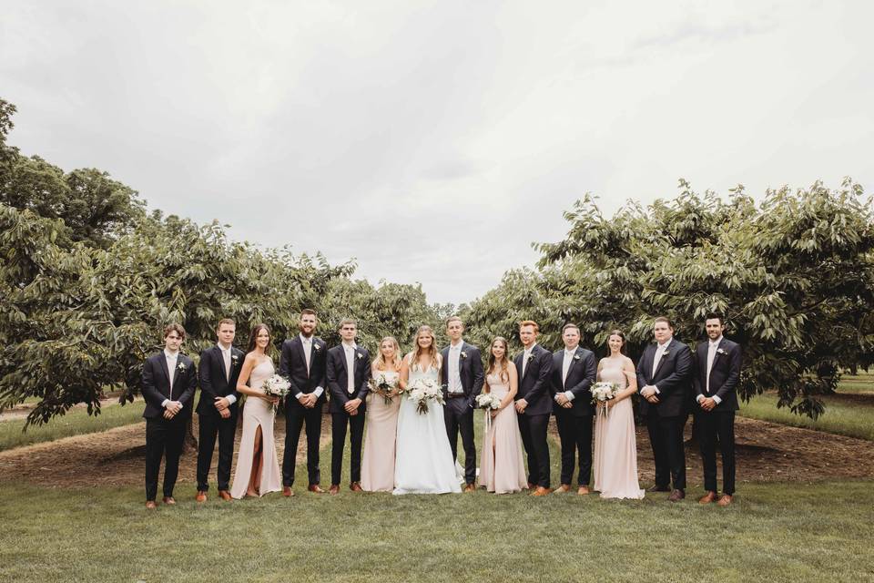 The Perfect Backdrop