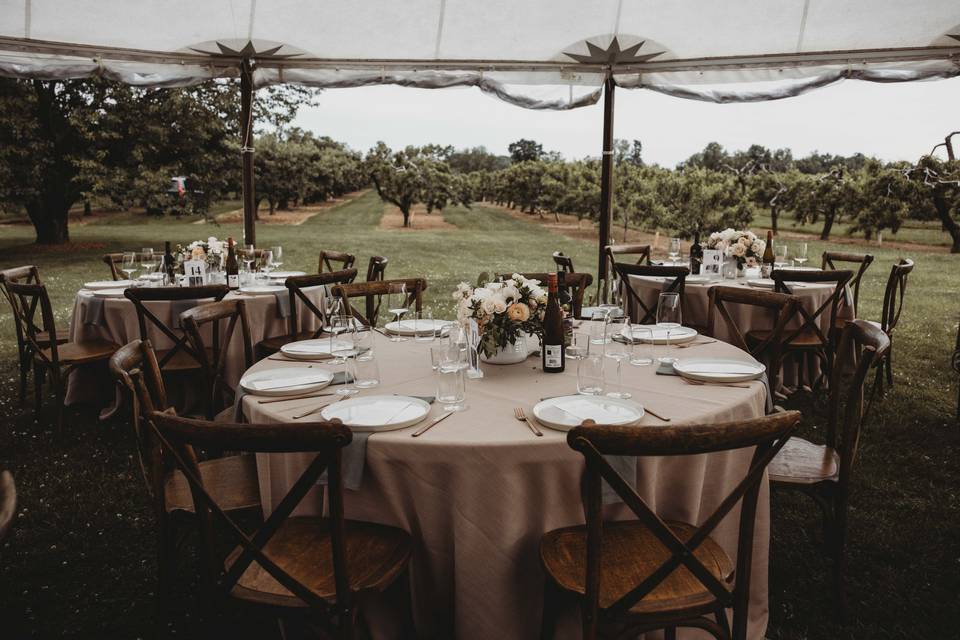 Reception Designed by You