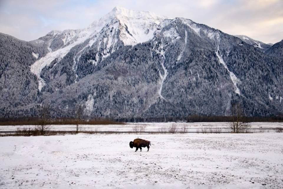 Fraser River Lodge