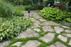 Photo Location on Property