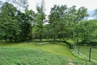 Photo Location on Property