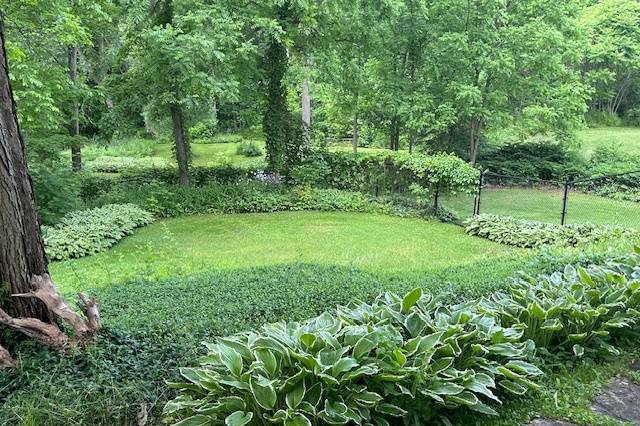 Photo Location on Property