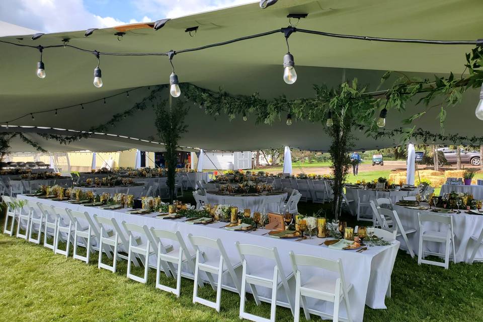Tent wedding _ elegant design