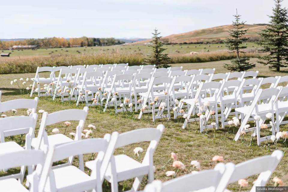 Wedding