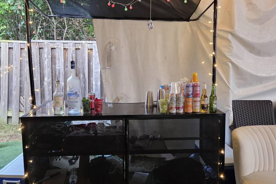 Backyard Bar