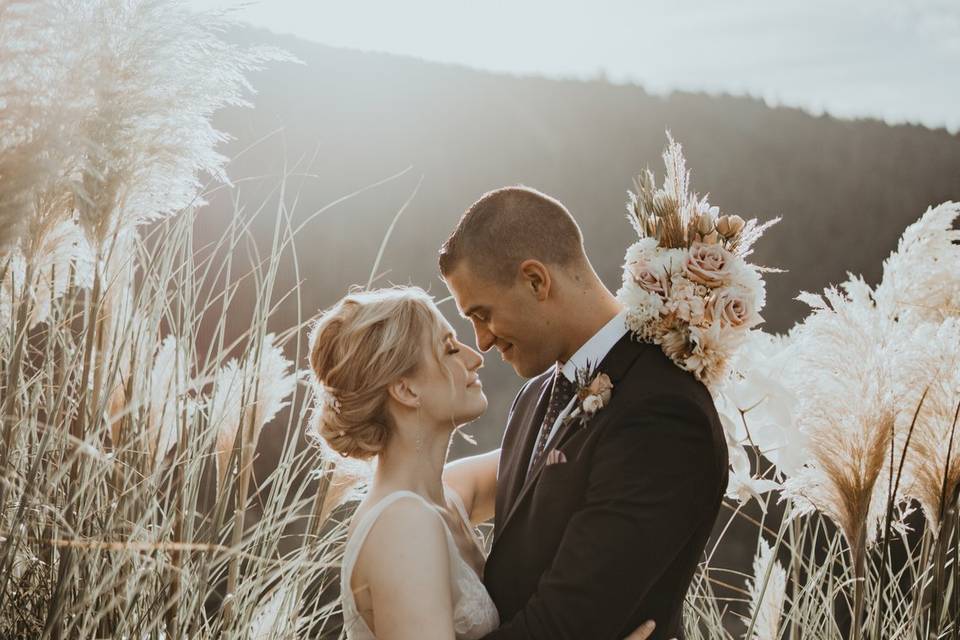 Pampas Grass