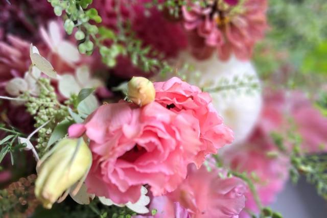 Seeds of Imbolc Flower Farm & Florist