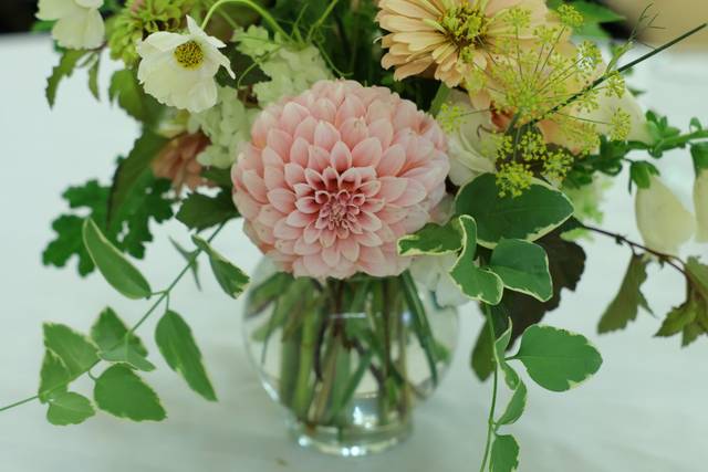 Fresh in Season Organic Blooms