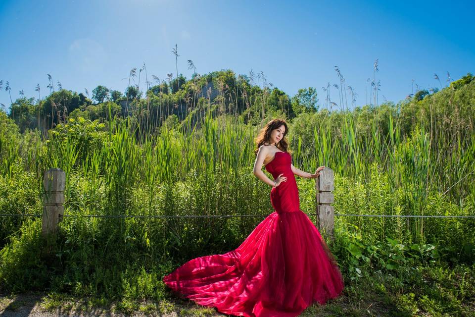 Elegant Red Gown