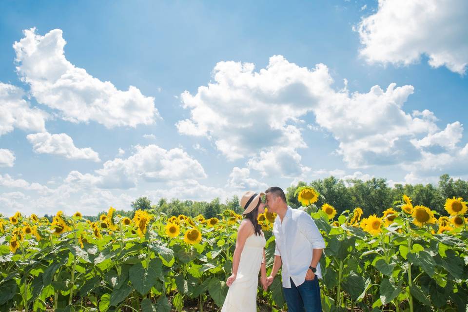 Sunflower moment