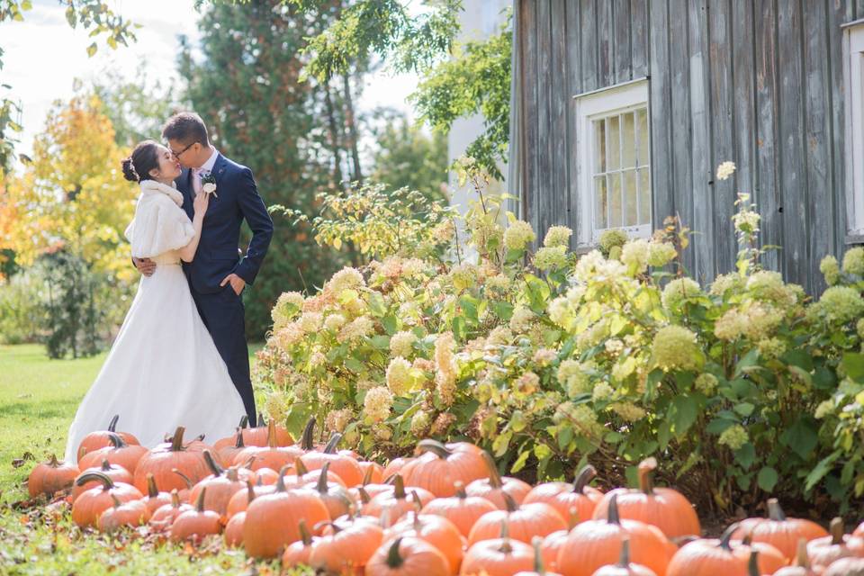 Fall Pumpkin