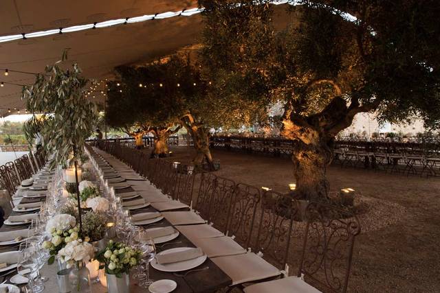 Outdoor reception