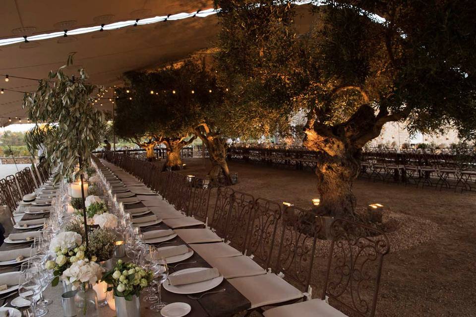 Outdoor reception