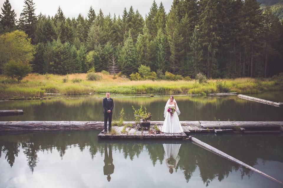 Log pond photo