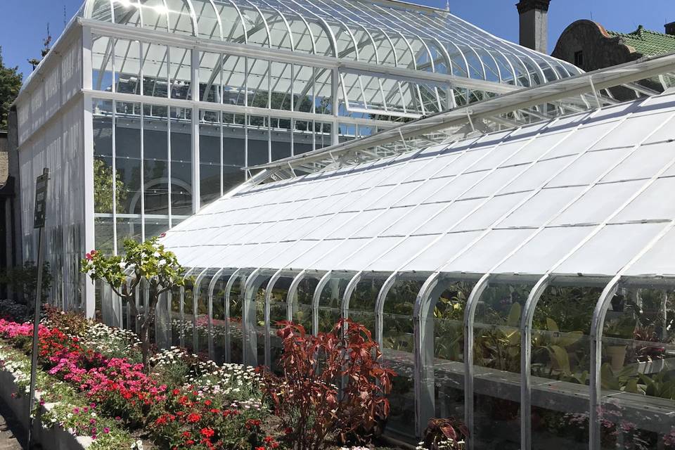 Greenhouse