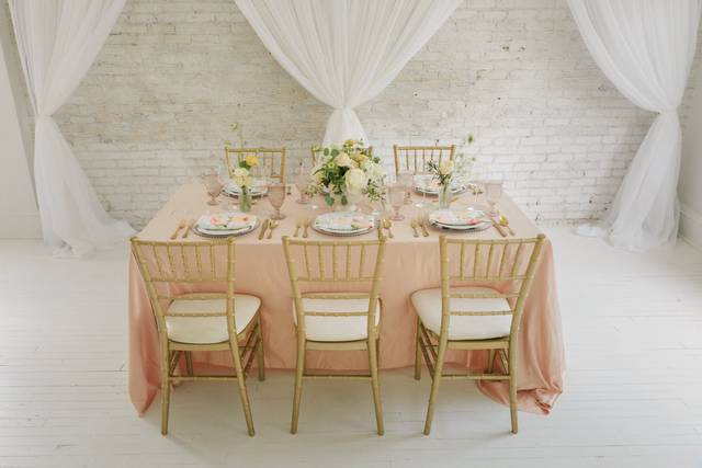 Custom Backdrop Designs