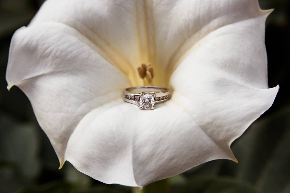 Wedding Ring