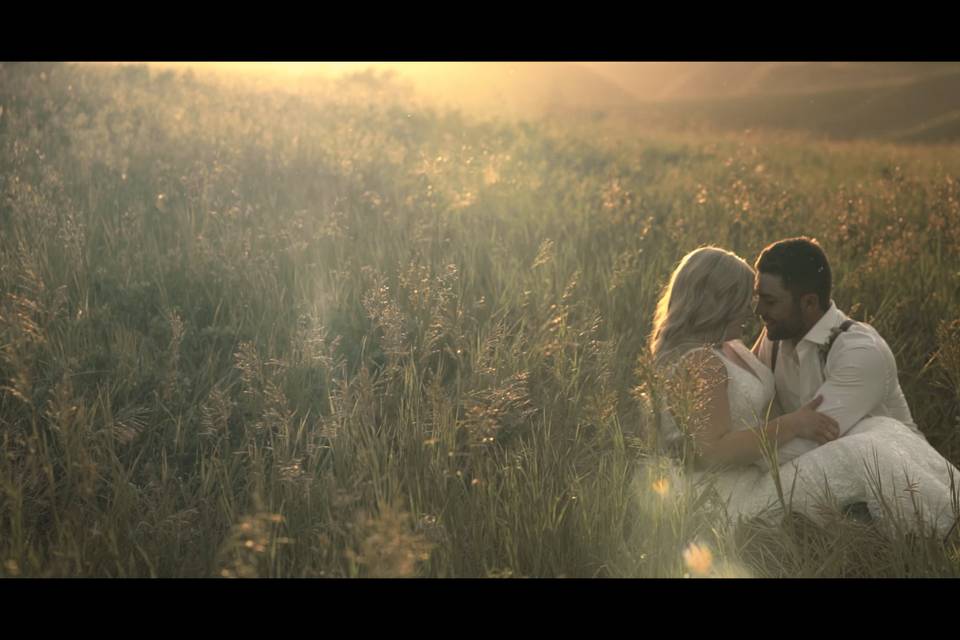 Sitting inside a field