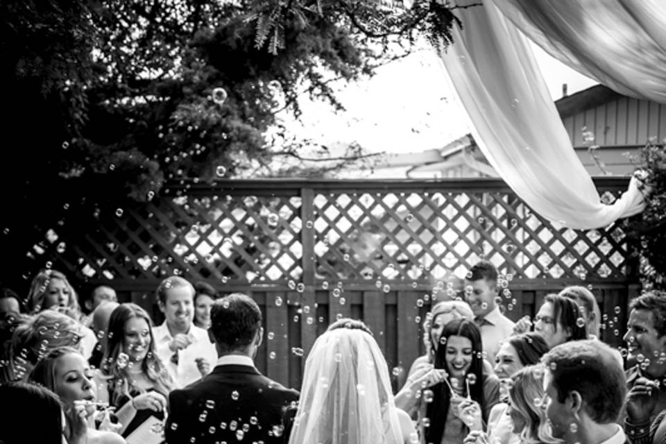 Backyard Wedding