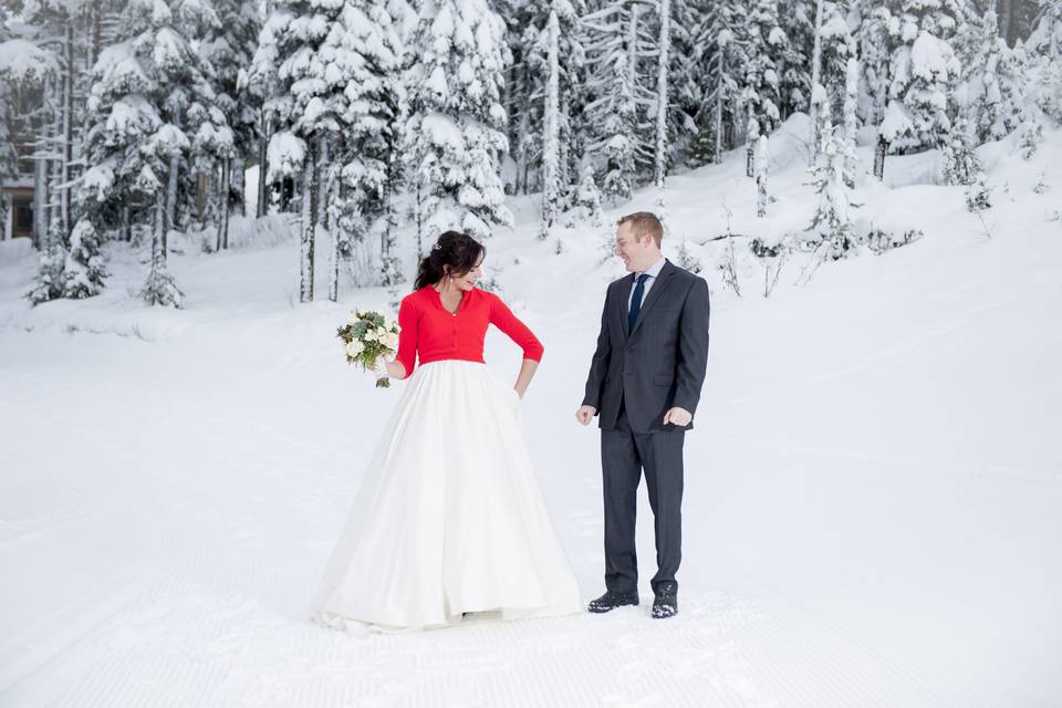 Silver Star winter wedding