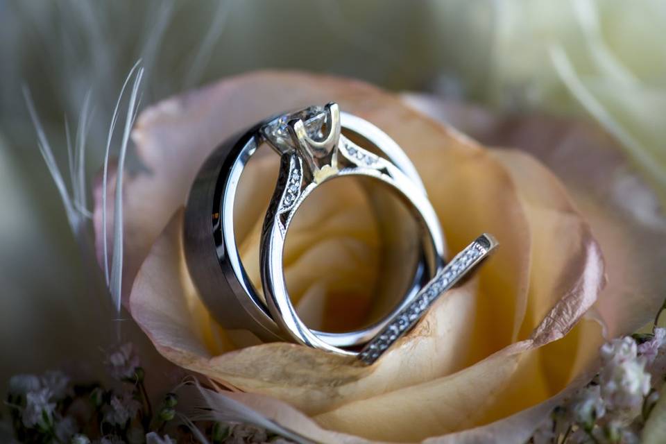 Wedding Rings