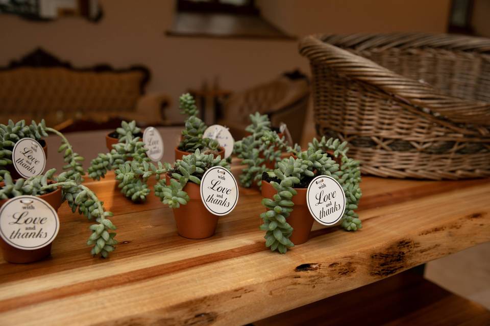 Wedding Favors