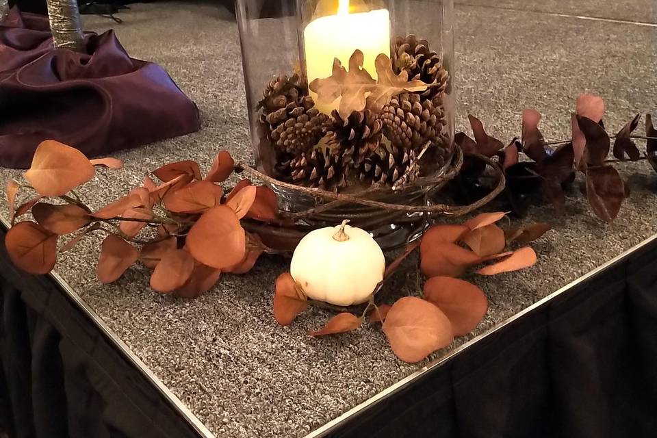 Fall's warm glow