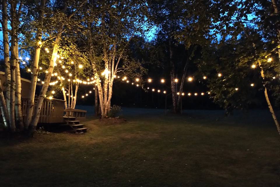 Plenty of lights with leftover
