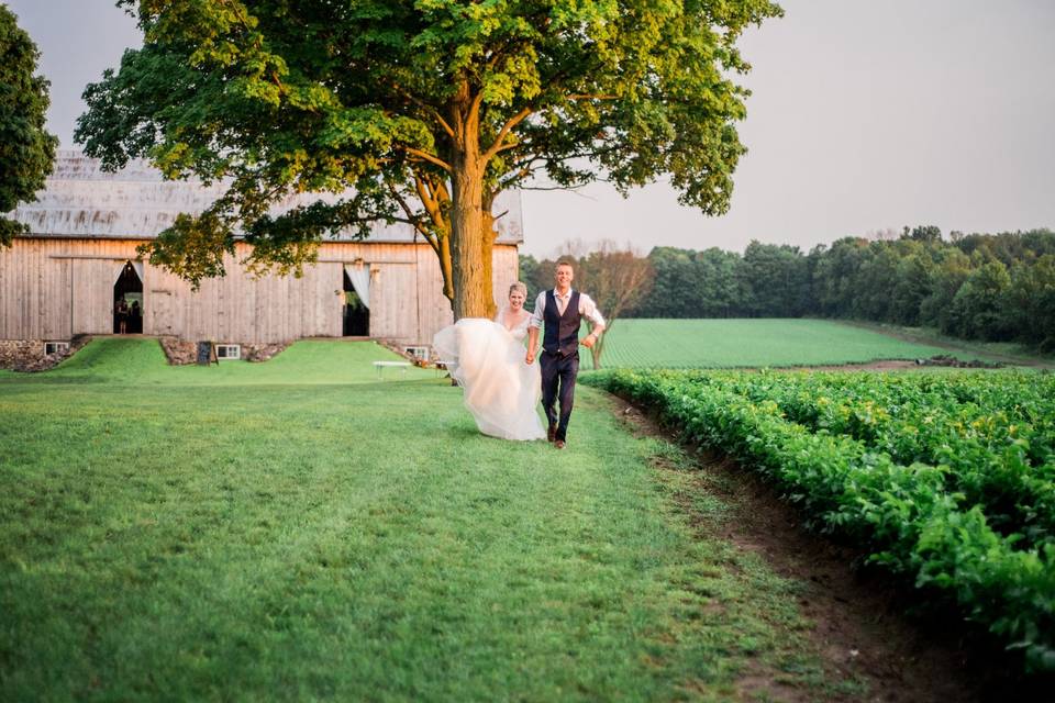 Carrots and a Wedding