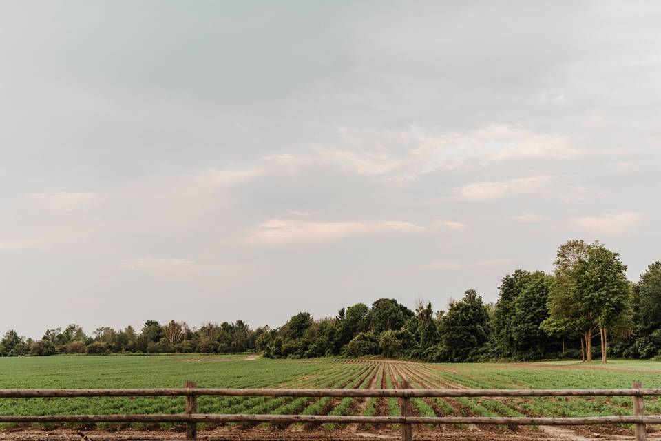 A Working Farm