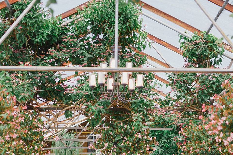 Greenhouse ceremony flowers