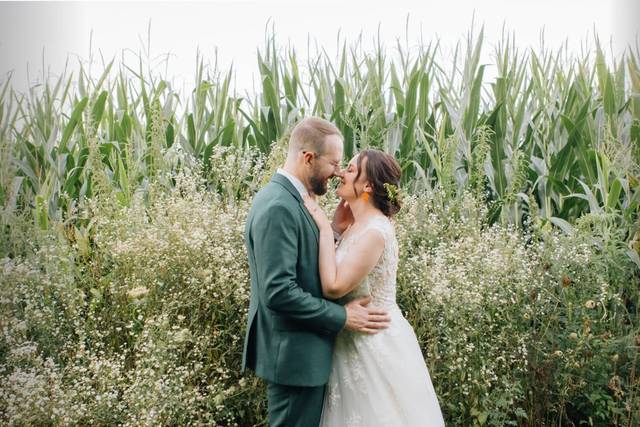 Wee Three Sparrows photos
