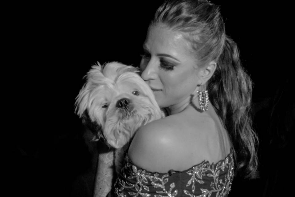 Dogs at weddings