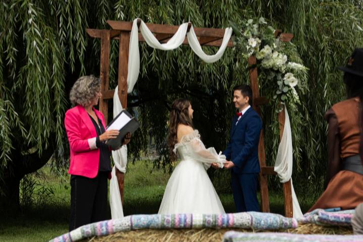 A willow & an arch=awesome! 🤩