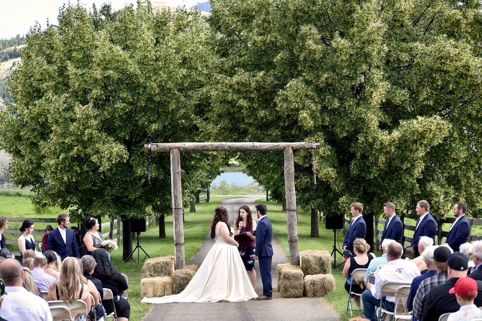 A beautiful ceremony space!