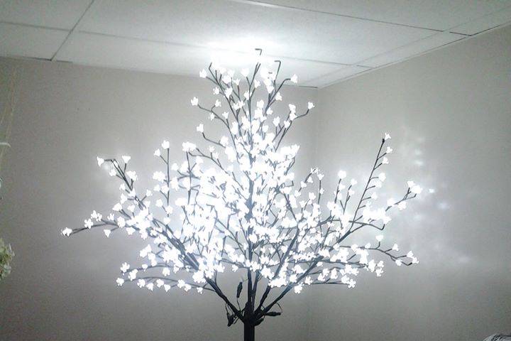 Lighted Blossom trees