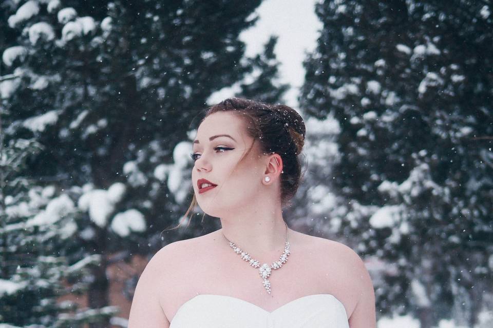 Winter Bride