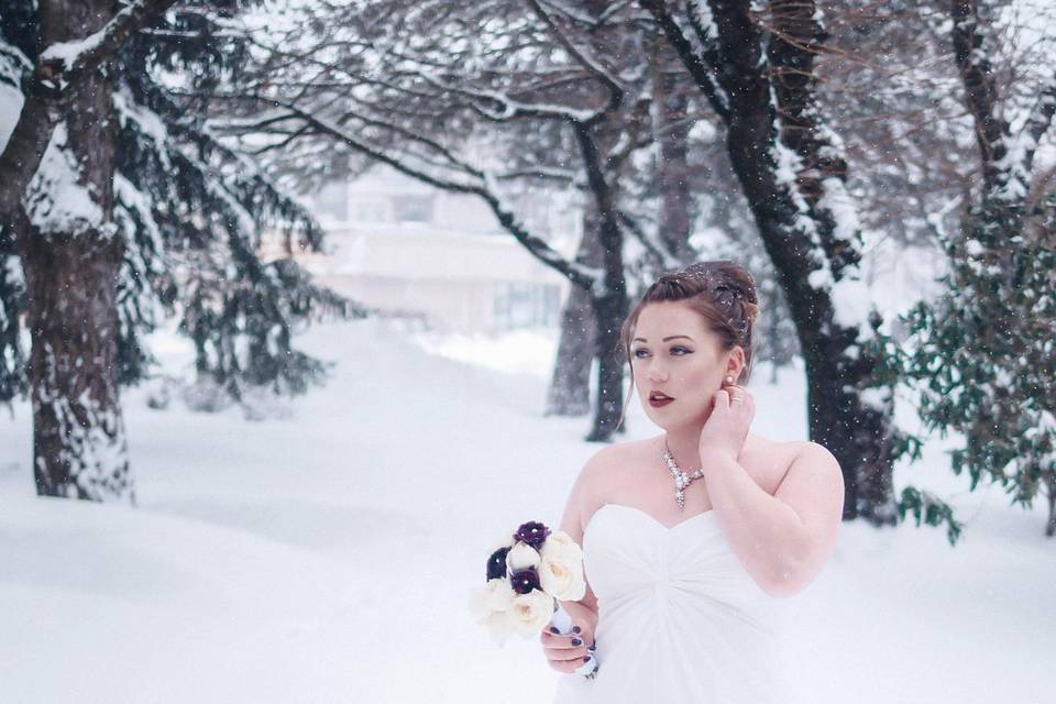 Winter Bride