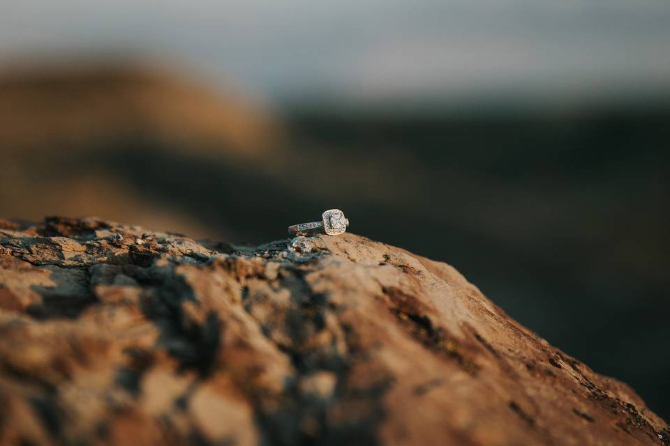Engagement Ring on a Rock