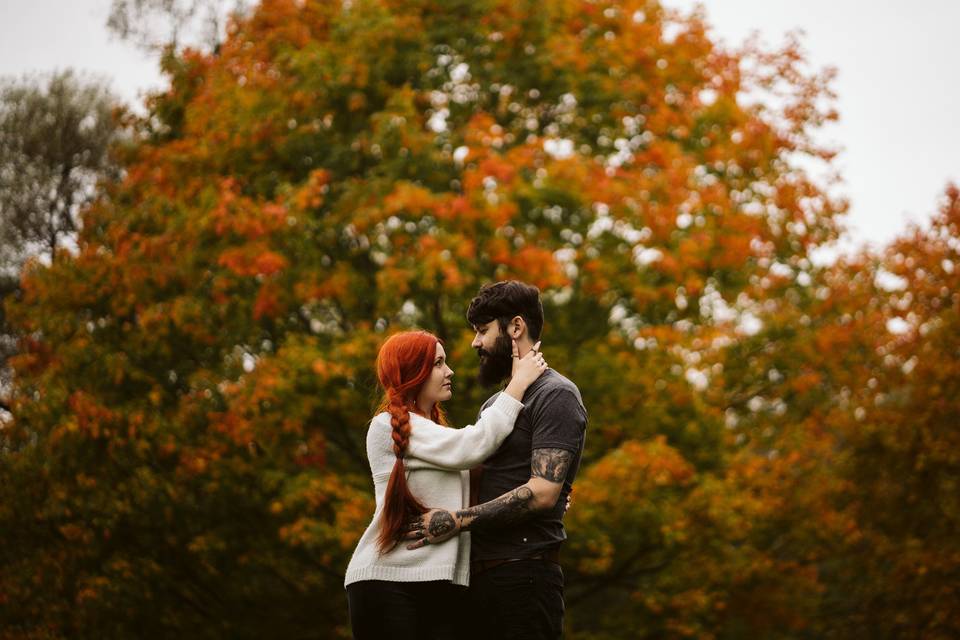 Fall Engagement