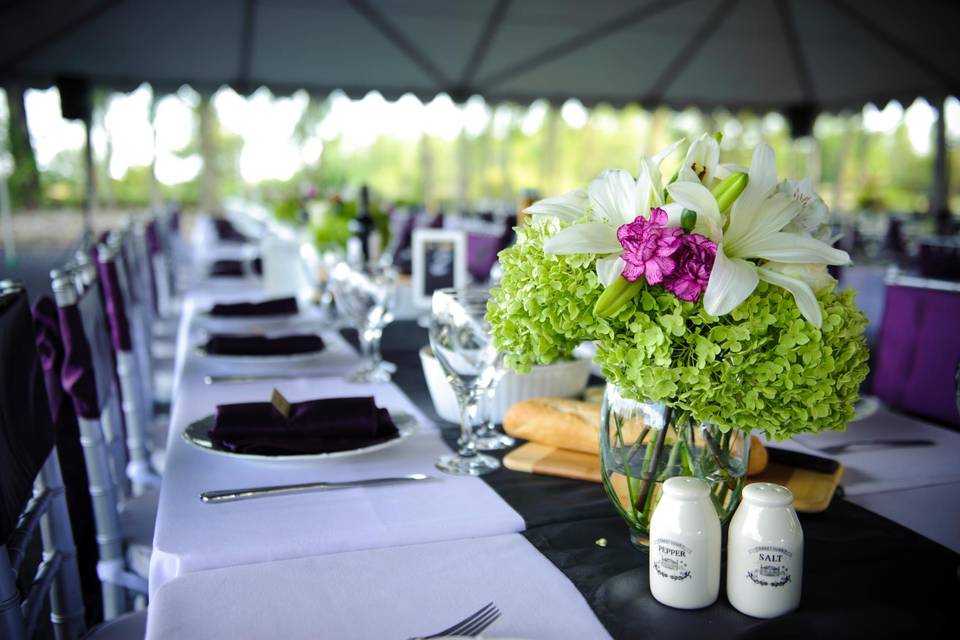 Ottawa Wedding Rentals