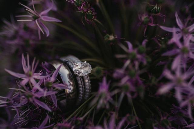 Darling Wedding Rings