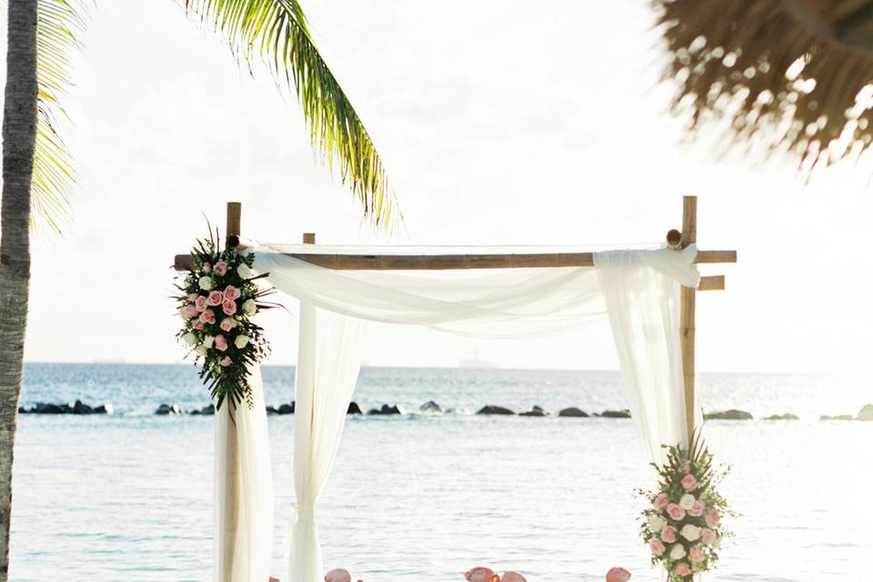 Aruba Weddings