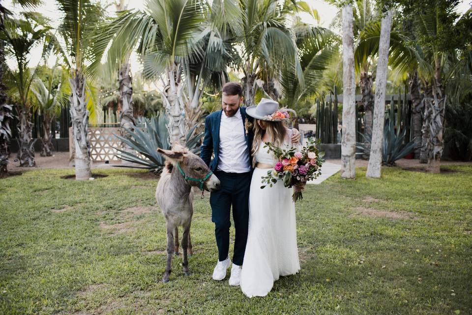 Los Cabos Weddings