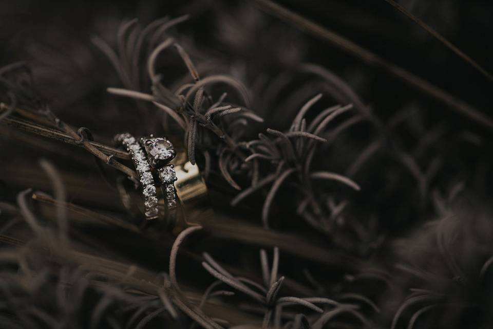 Stunning Wedding Rings