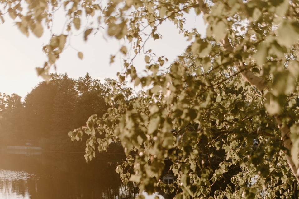 Romantic Ontario Elopement