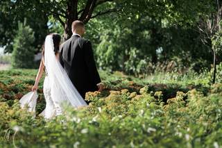 Lisa Mounteer Photography