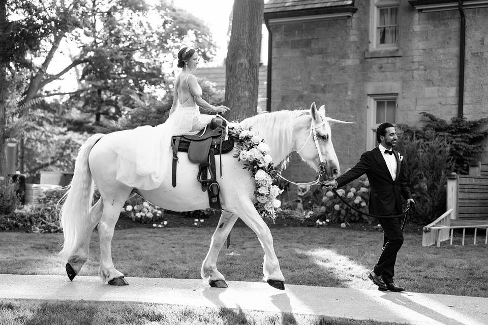 Fairytale Wedding