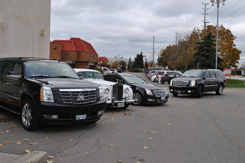 Classic Rolls Royce Chauffeur Services