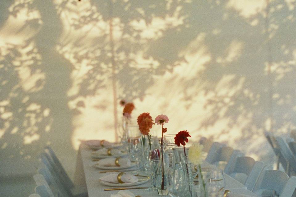 DIY decor - shot on film